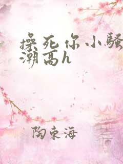 操死你小骚货高潮高h