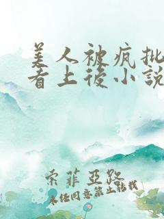 美人被疯批王爷看上后小说免费阅读