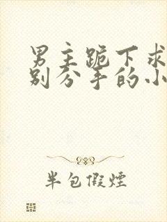 男主跪下求女主别分手的小说