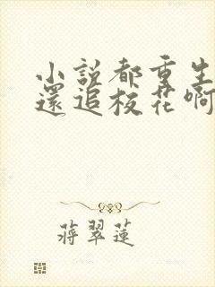 小说都重生了谁还追校花啊