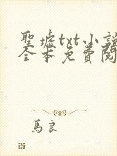 圣墟txt小说全本免费阅读