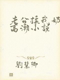 老公揉我奶啊嗯高潮小说