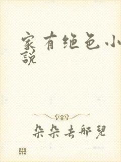 家有绝色小姨小说