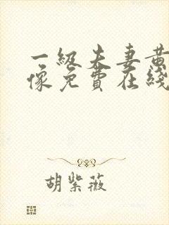 一级夫妻黄色录像免费在线播放