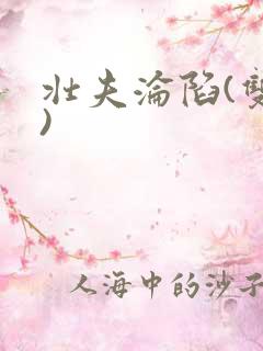 壮夫沦陷(双性)