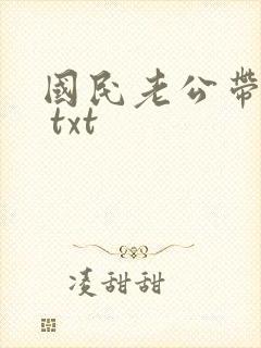 国民老公带回家 txt