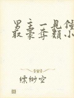 男主一见钟情强取豪夺类小说