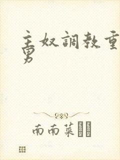 主奴调教重口男男