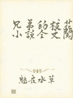 兄弟的校花女友小说全文阅读