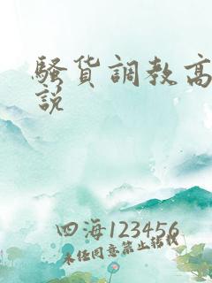 骚货调教高h小说
