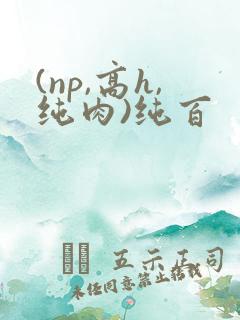 (np,高h,纯肉)纯百