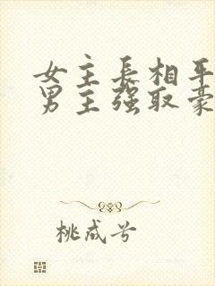 女主长相平凡被男主强取豪夺现言