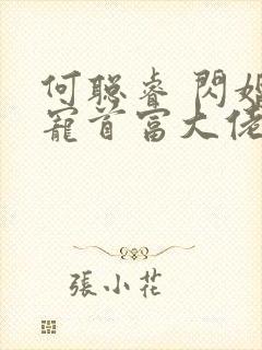 何聪睿 闪婚成宠首富大佬爱上我