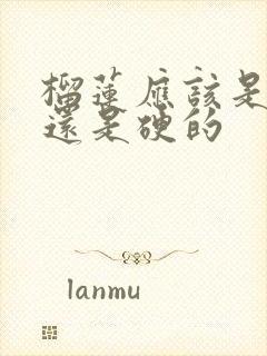 榴莲应该是软的还是硬的