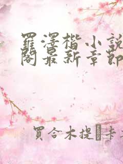 罗泽楷小说笔趣阁最新章节