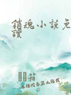 销魂小说免费阅读