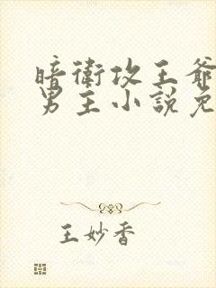 暗卫攻王爷受双男主小说免费阅读