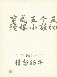 穿成五个反派的后娘小说txt
