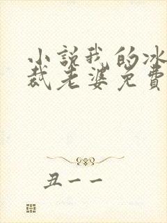 小说我的冰山总裁老婆免费阅读