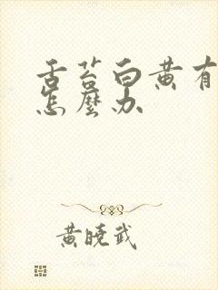 舌苔白黄有齿痕怎么办