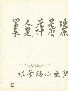 男人老是硬不起来是什么原因