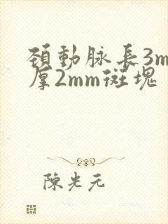 颈动脉长3mm厚2mm斑块