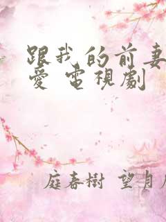 跟我的前妻谈恋爱 电视剧