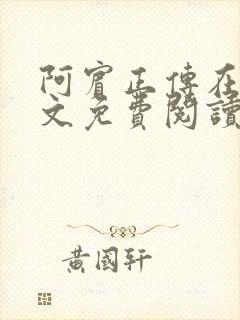 阿宾正传在线全文免费阅读无删减