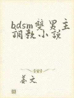 bdsm双男主调教小说