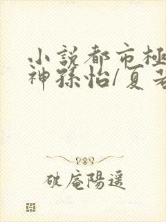 小说都市极品医神孙怡/夏若雪下载