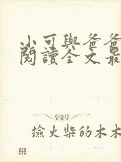 小可与爸爸免费阅读全文最新章节更新