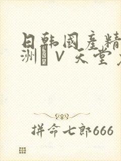 日韩国产精品亚洲а∨天堂免