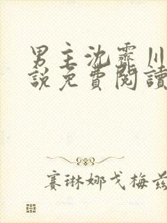 男主沈霁川的小说免费阅读