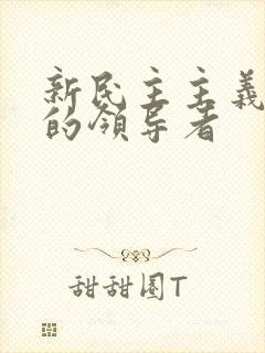 新民主主义革命的领导者