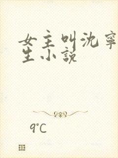 女主叫沈宁的重生小说