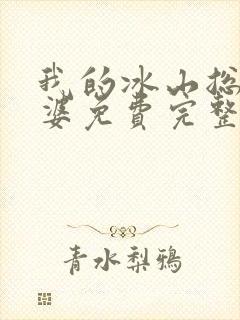 我的冰山总裁老婆免费完整版