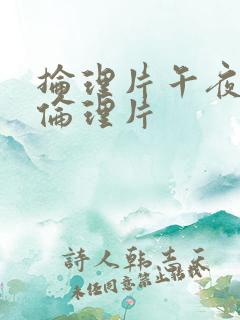 抡理片午夜久久伦理片