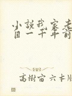 小说我家老婆来自一千年前txt下载