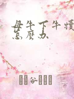 母牛下牛犊没奶怎么办