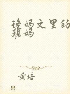 后妈文里的反派亲妈