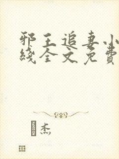 邪王追妻小说在线全文免费阅读