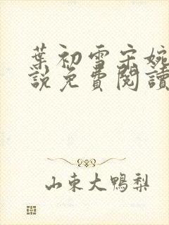 叶初雪宋婉琳小说免费阅读最新章节