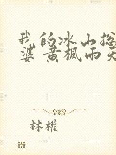 我的冰山总裁老婆 黄枫雨天