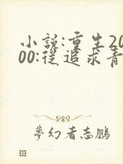 小说:重生2000:从追求青涩校花同桌开始
