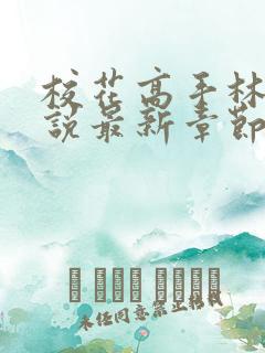 校花高手林逸小说最新章节