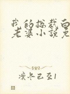 我的总裁白富美老婆小说免费讲述