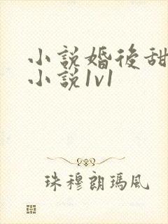 小说婚后甜宠的小说1v1