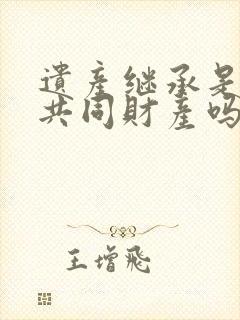 遗产继承是夫妻共同财产吗