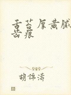 舌苔厚黄腻边有齿痕