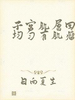 子宫肌层回声不均匀有肌瘤